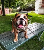 castor 20juni1.webp