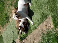 20190622_150058.webp