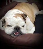 20190616_165004.webp