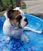 20190519_153359.webp
