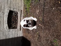 20190427_131007.webp