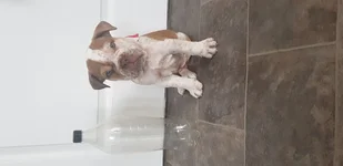 20190626_093017.webp