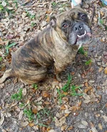 chloe.webp chloe.webp
