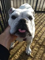 lenny.webp