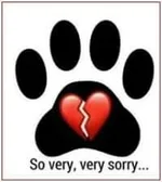 BullyAngel5.webp