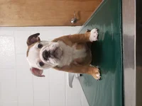20190626_074339.webp