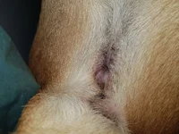 20190630_211358.webp