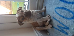 20190701_184513.webp