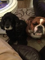 Charlie and Gabe.webp