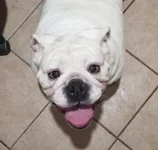 fiona.webp
