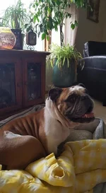 daisymae.webp daisymae.webp