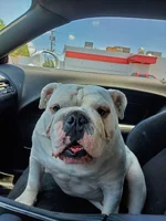 20190708_135652.webp