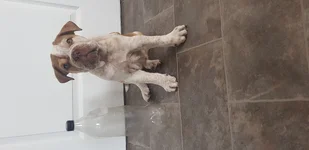 20190714_073943.webp