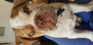 20190715_133354.webp