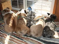 DSCF3777.webp