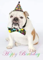BullyBirthday15.webp BullyBirthday15.webp