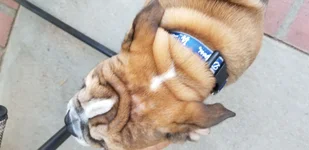 20190720_175159.webp