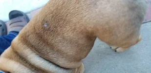 20190720_175153.webp