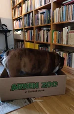 inthebox.webp