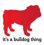 Bulldog thing.jpg