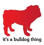 Bulldog thing.webp