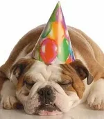happy birthday joey.webp