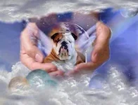 BullyAngel7.webp