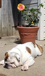 20190616_104815.webp
