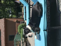 547E62F6-DB40-4087-82F7-812809BF849C.webp 547E62F6-DB40-4087-82F7-812809BF849C.webp