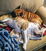 MVIMG_20190222_181644-01-01.webp