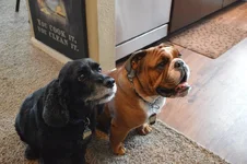 Charlie and Gabe 1.webp