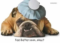 Feel better soon.webp