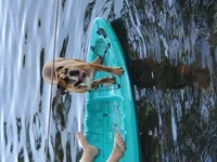 20190701_191439.webp 20190701_191439.webp