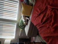 20190401_140214.webp