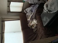 03570657-BAEC-4B32-B025-E3B035DACEC2.webp