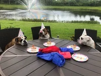 birthday resize.webp