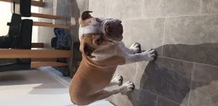 20190808_203502.webp