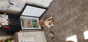 20190824_115502.webp