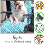 bigsby.jpg bigsby.jpg