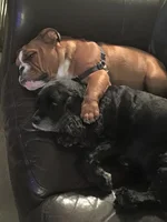 Charlie and Gabe5.webp