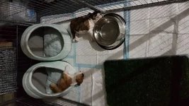 20180303_233642.webp
