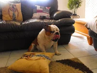 DSCF1006.webp