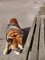 IMG_20200904_114514.webp