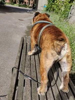 IMG_20200904_114544.webp