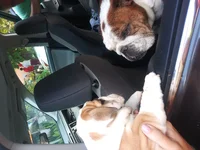 20190923_162200.webp