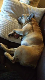 IMG-20190901-WA0000.webp IMG-20190901-WA0000.webp