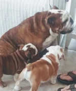 20190928_150934.webp