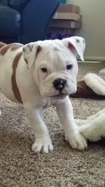 20190930_093348.webp