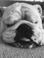 otis otis otis.webp otis otis otis.webp