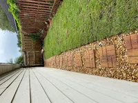 dogrun_1.webp